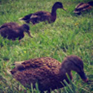 Meet your Posher, Karen